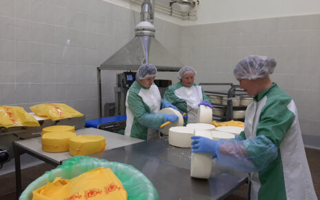 Шумилинские сыры, Шумилино