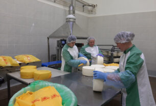 Шумилинские сыры, Шумилино