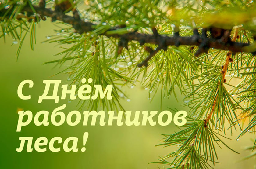20  сентября  – День работников леса